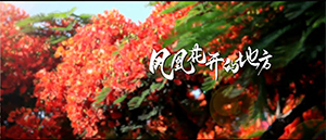 ַ500(й)ٷվ